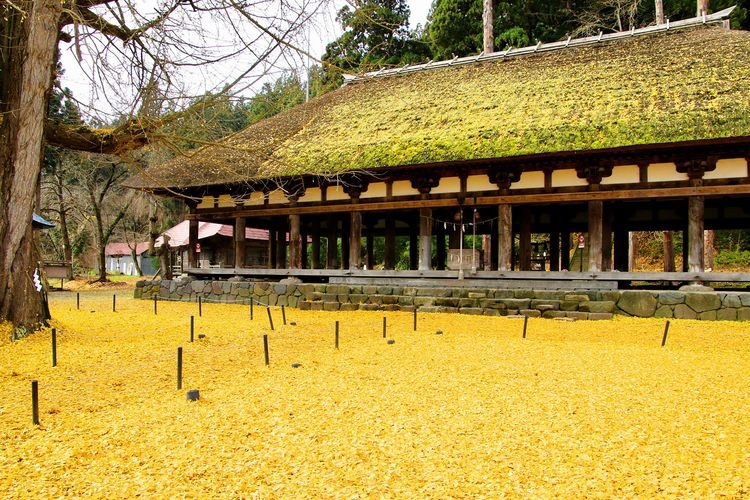 新宮熊野神社