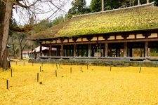 新宮熊野神社的觀光地圖片(1)