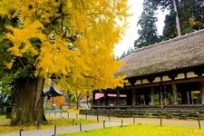 新宮熊野神社的觀光地圖片(2)