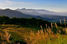 Tourist destination images of Minokura Kogen Flower Field(1)