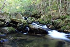 滝川渓谷の観光地画像(3)