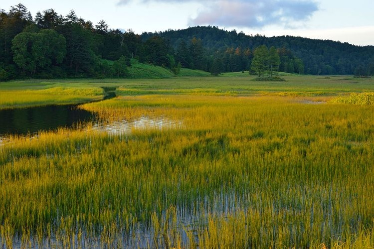 Oze National Park