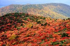 Tourist destination images of Adatara Mountain Ropeway(2)