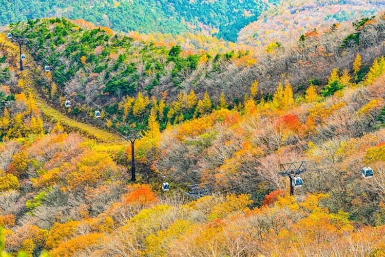 Tourist destination images of Adatara Mountain Ropeway(2)