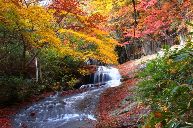 Tourist destination images of Adatara Valley(2)