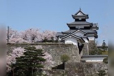 小峰城跡の観光地画像(5)