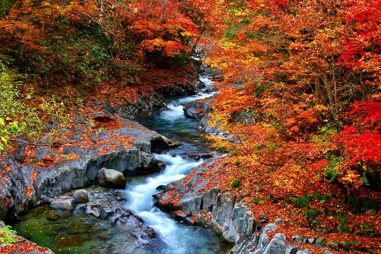 Nakatsugawa Valley