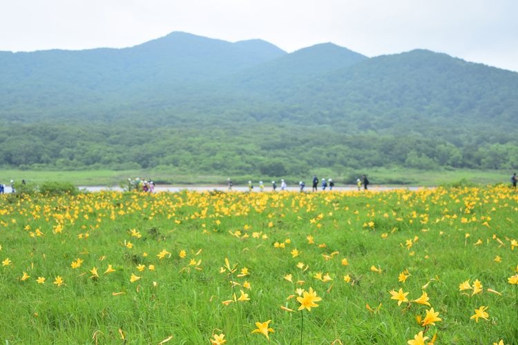 Tourist destination images of Ougoku Numa(3)