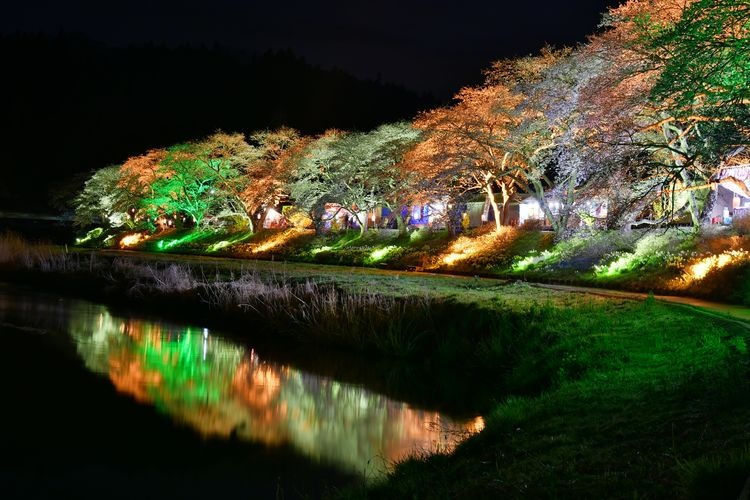 Tourist destination images of Natsui Senbonzakura (One Thousand Cherry Blossoms of Natsui)(3)