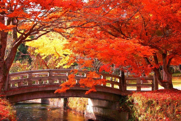 土津神社