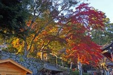 Tourist destination images of Tsukubasan Jinja Shrine(4)