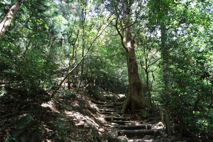 Mount Tsukuba