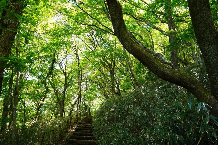 Tourist destination images of Mount Tsukuba(2)