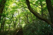Tourist destination images of Mount Tsukuba(2)