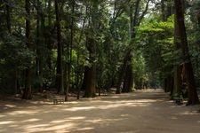 Tourist destination images of Kasama Inari Shrine(3)