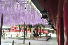 Tourist destination images of Kasama Inari Shrine(5)