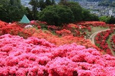 Tourist destination images of Kasama Azalea Park(1)