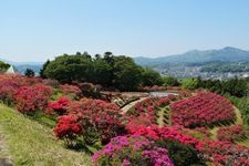 Tourist destination images of Kasama Azalea Park(4)