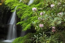 Tourist destination images of Tsukimai no Taki (Moonlit Waterfall)(1)