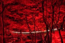 Tourist destination images of Hanazono Hananuki Prefectural Natural Park(5)