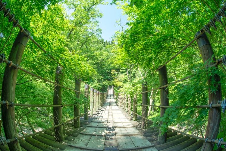 Tourist destination images of Hanazono Hananuki Prefectural Natural Park(2)