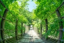 Tourist destination images of Hanazono Hananuki Prefectural Natural Park(2)