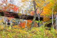 Tourist destination images of Hanazono Hananuki Prefectural Natural Park(4)