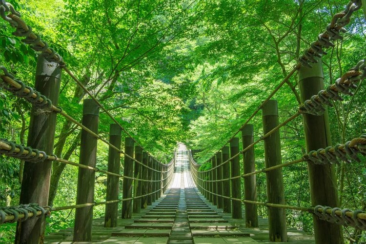 Hanazono Hananuki Prefectural Natural Park