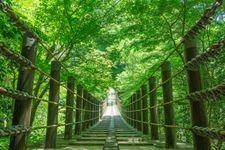 Tourist destination images of Hanazono Hananuki Prefectural Natural Park(1)