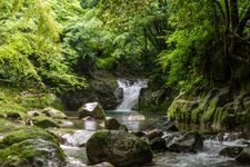 Tourist destination images of Hanazono Hananuki Prefectural Natural Park(2)