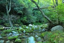 Tourist destination images of Hanazono Hananuki Prefectural Natural Park(4)