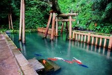 Tourist destination images of Kasama Jingu Shrine(3)