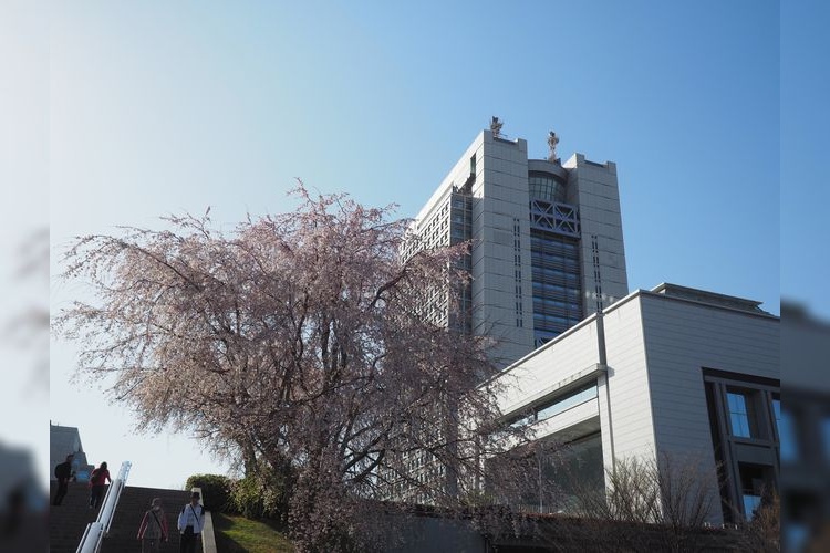 茨城県庁 展望ロビー 3