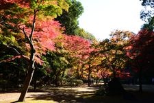 Tourist destination images of Kairakuen Garden(5)