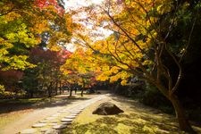 Tourist destination images of Kairakuen Garden(11)