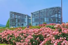 Tourist destination images of Ibaraki Flower Park(2)