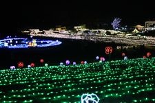 Tourist destination images of Ibaraki Flower Park(3)