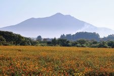 Tourist destination images of Ibaraki Flower Park(4)