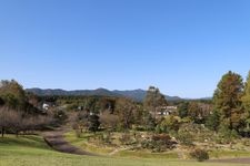 Tourist destination images of Ibaraki Flower Park(5)