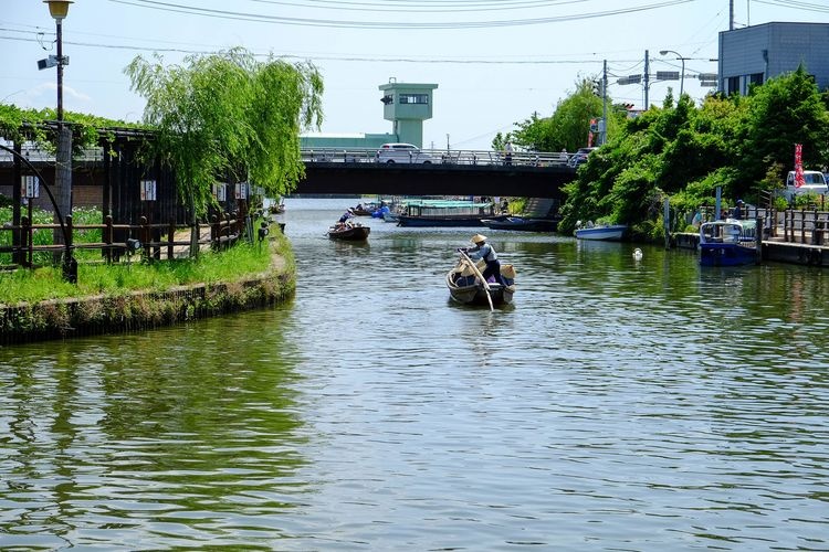 水鄉潮來菖蒲園的觀光地圖片(3)