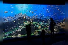 Tourist destination images of Aqua World Ibaraki Oarai Aquarium(3)