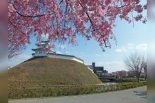 Tourist destination images of Utsunomiya Castle Ruins Park(3)