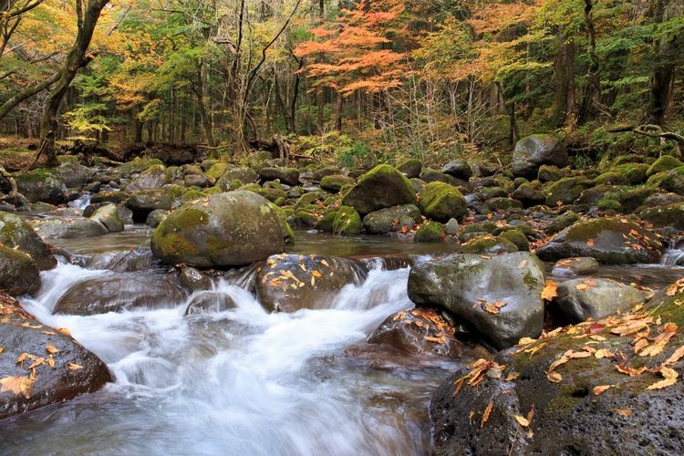 Tourist destination images of Shojinzawa Spring(3)