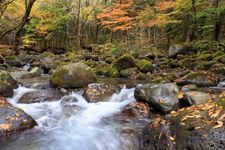 Tourist destination images of Shojinzawa Spring(3)