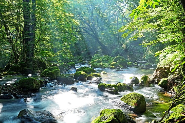 Shojinzawa Spring