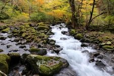 Tourist destination images of Shojinzawa Spring(2)