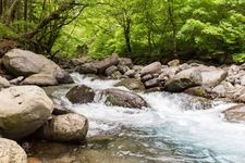 Tourist destination images of Shojinzawa Spring(2)