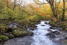 Tourist destination images of Shojinzawa Spring(3)