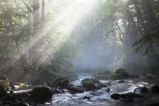 Tourist destination images of Shojinzawa Spring(4)