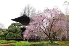 Tourist destination images of Daijizō Banna-ji Temple(3)